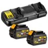 DEWALT 18-54V FlexVolt 6.0Ah Dual Port Battery & Charger Kit
